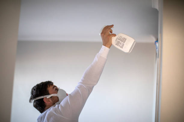 Best Crawl Space Mold Removal  in Manchester, MO