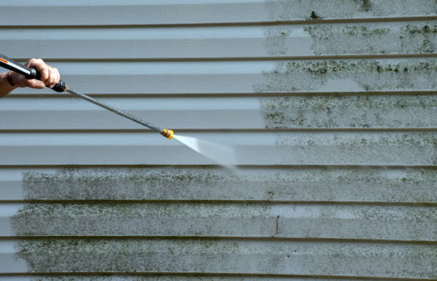 Mold Removal Process in Manchester, MO