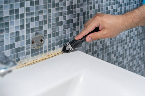 Best Residential Mold Removal  in Manchester, MO